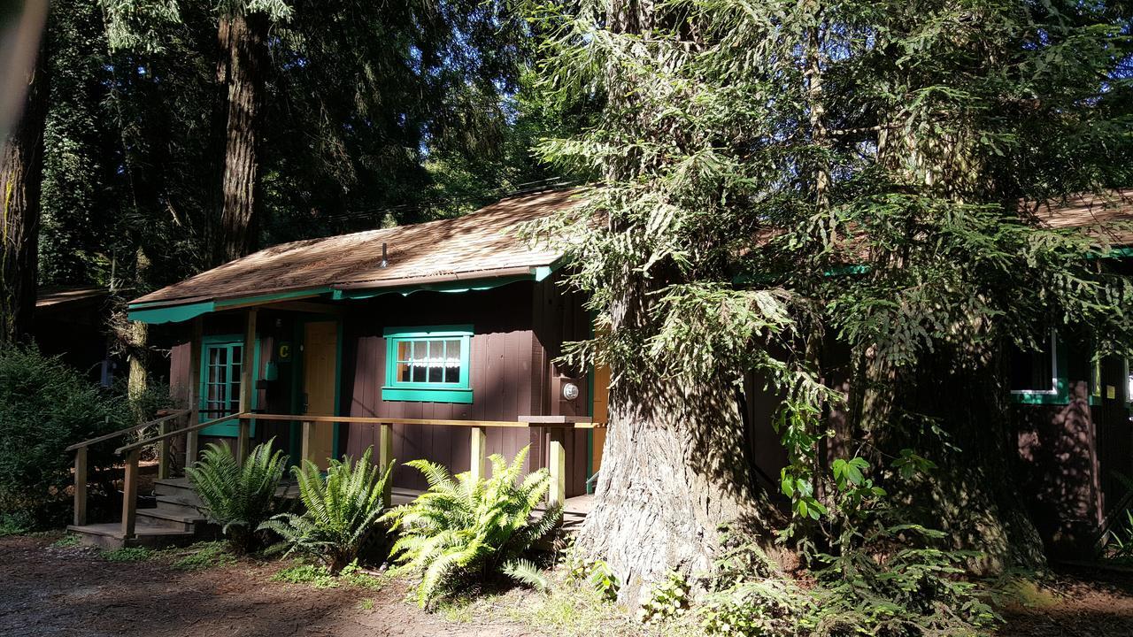 Emerald Forest Cabins Trinidad Exterior photo